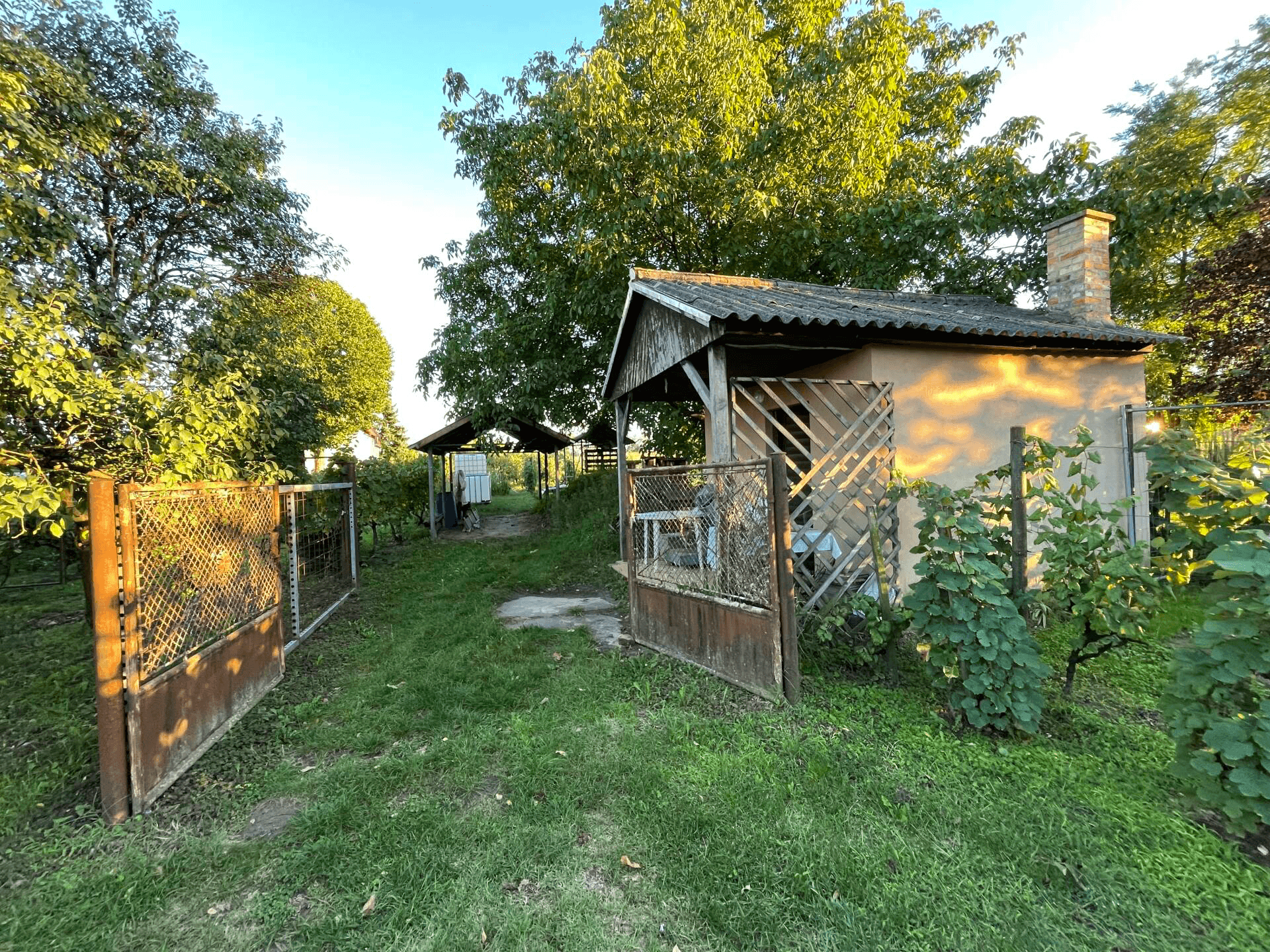 Nyugalmas, napfényes növénybirodalom Komáromban!