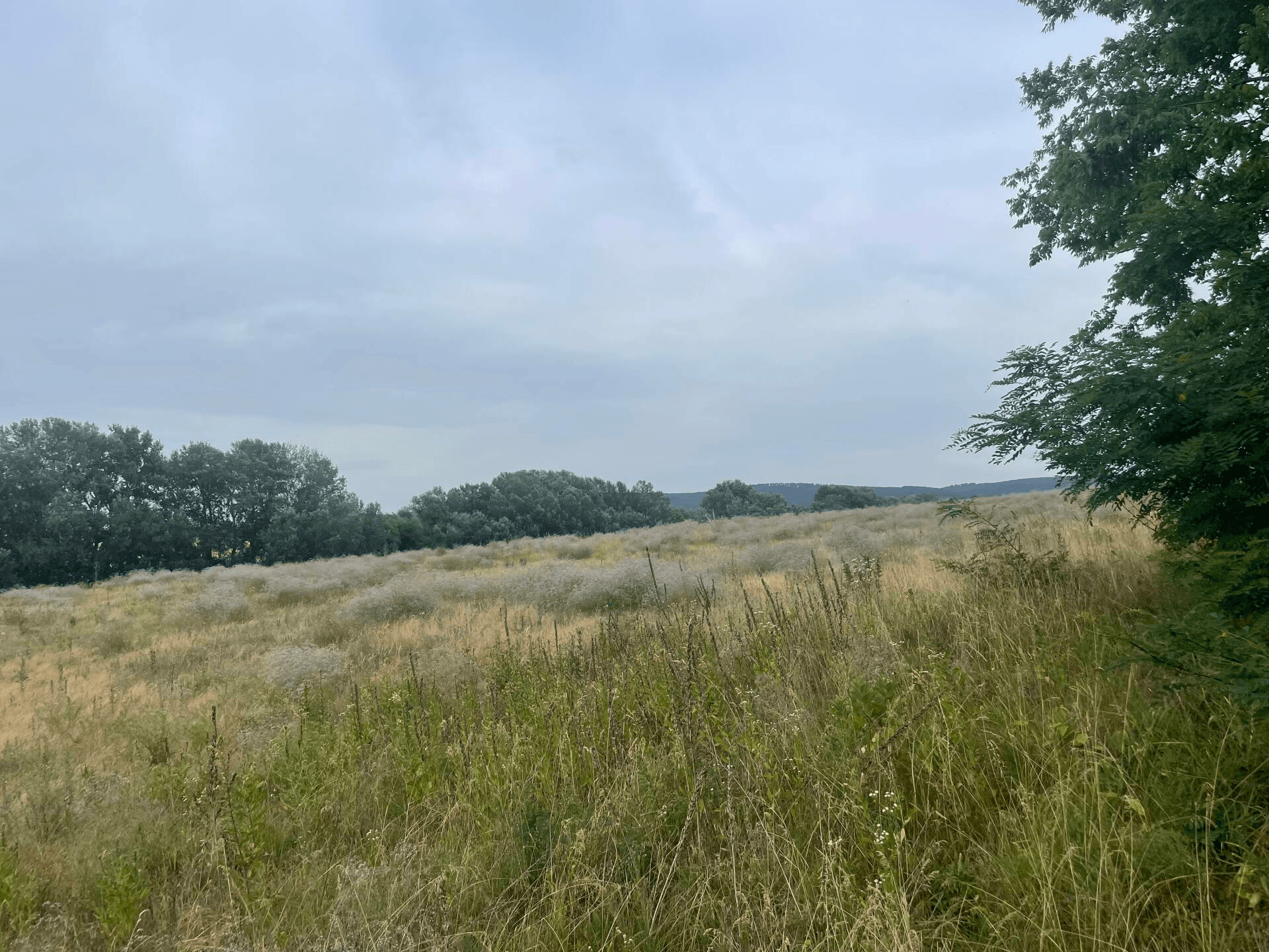 Termő terület, tiszta táj, tartós érték