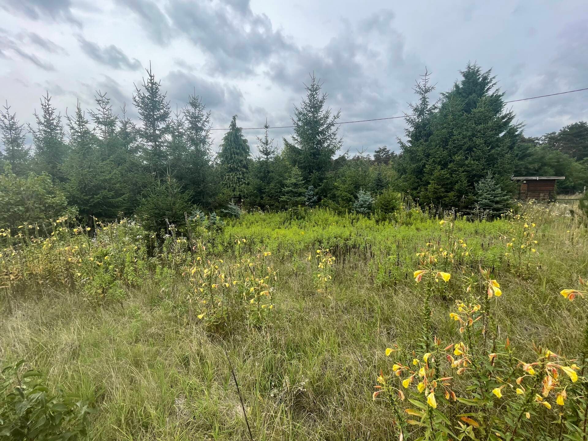 Szomódi zártkertek - színtiszta természet!